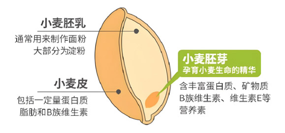 營養(yǎng)多樣性